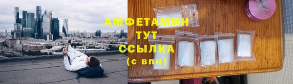 spice Инсар
