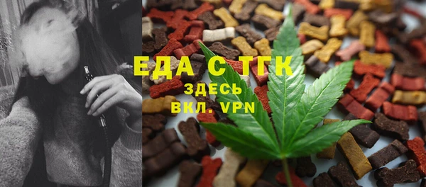spice Инсар