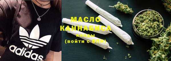 spice Инсар