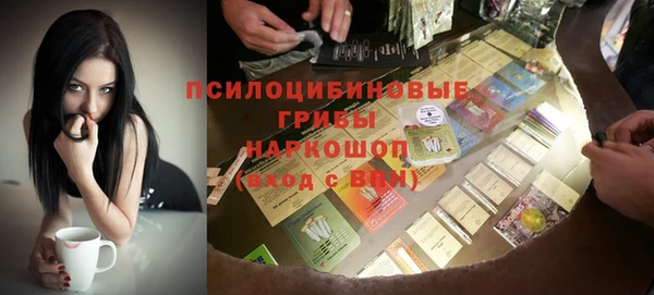spice Инсар
